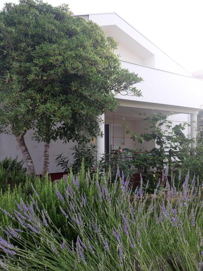 Oasis 300 Meters From The - By Ta Leut Agency Привлака
